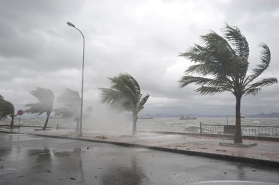 Việt Nam kiến nghị loại bỏ tên bão LINFA do Trung Quốc đề xuất