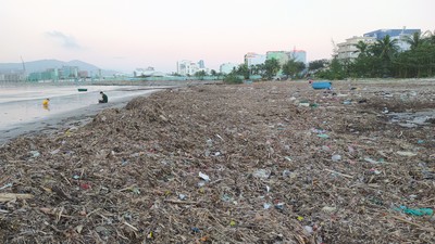 Đà Nẵng: Hàng nghìn tấn rác dạt vào bãi biển sau bão số 13