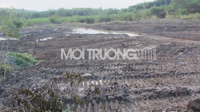 Nghệ An: Dân tố doanh nghiệp ngang nhiên đổ hàng trăm tấn bùn thải.
