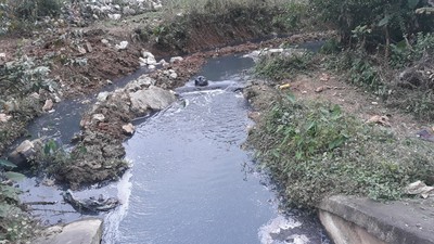 Ô nhiễm môi trường trong sản xuất miến dong Án Lại (Cao Bằng)