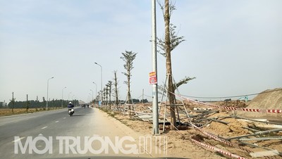 Tỉnh Bắc Ninh giao 19ha đất lúa không cần sự chấp thuận từ Thủ tướng