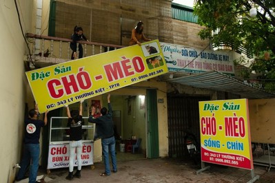 Tổ chức FOUR PAWS lần đầu tiên đóng cửa lò mổ thịt Mèo tại Việt Nam