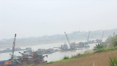 Phú Thọ: sông Lô, sông Chảy tiếp tục được phép khai thác cát sỏi