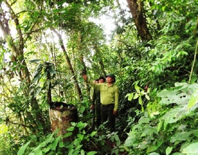 Đánh đổi các dịch vụ hệ sinh thái ở vùng núi phía Bắc Việt Nam