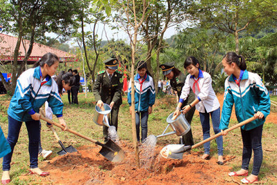 Hà Nội dự kiến trồng mới hơn 400 nghìn cây xanh dịp xuân Tân Sửu
