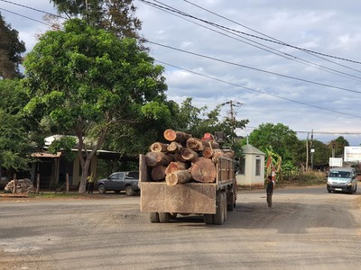 Gia Lai: Phát hiện nhiều khối gỗ vô chủ