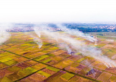 Tỷ lệ đốt rơm rạ sau thu hoạch ở Hà Nội giảm rõ rệt