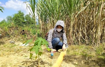 Khánh Hòa: Yêu cầu DN xử lý nước thải trước khi xả ra môi trường