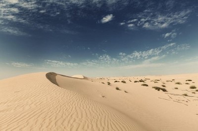 Cảnh báo nguy cơ châu Âu chìm trong bụi từ sa mạc Sahara