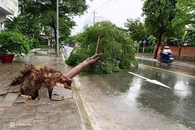 Khánh Hòa: Nha Trang tan hoang sau bão