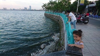 Bộ TN&MT đề nghị Hà Nội cải thiện chất lượng môi trường nước hồ Tây