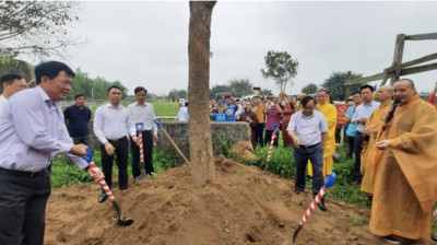 Dự án 'Chùa xanh' với 1000 cây xanh được trồng tại chùa Thắng Phúc