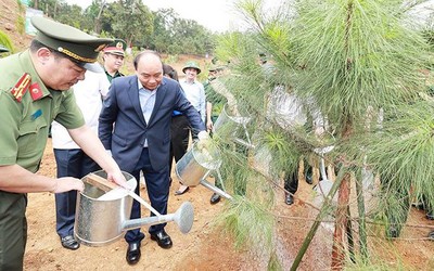Chủ tịch nước yêu cầu đẩy mạnh tuyên truyền vai trò của trồng cây