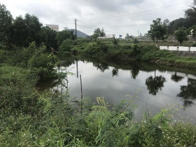 Nghệ An: Nước kênh nhà Lê đổi màu đen kịt, bốc mùi hôi thối