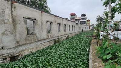 Tiên Du (Bắc Ninh): UBND xã Phú Lâm xây dựng trái phép 18 ki-ốt