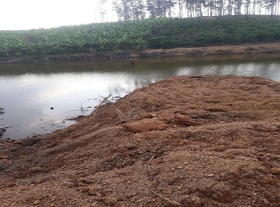 Lâm Đồng: Ngang nhiên san lấp lòng hồ, lấn chiếm đất rừng