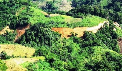 Quảng Ngãi: Ngăn chặn tình trạng xâm hại đất rừng