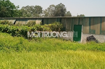 Nghệ An: Hàng loạt sai phạm về quản lý đất đai tại xã Nghi Ân (Bài1)