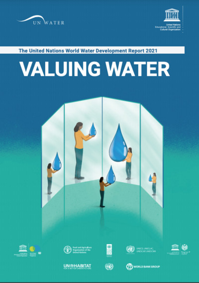 Ấn bản phẩm: “Định giá giá trị của Nước”