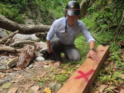 Khởi tố 2 thanh niên Quảng Ngãi tàn phá hơn 15.000 m2 rừng tự nhiên