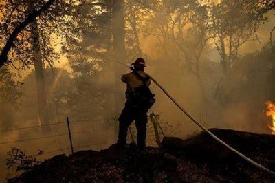 Thống đốc California kêu gọi ngân sách 2 tỷ USD chống cháy rừng