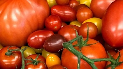 Thực phẩm từ thiên nhiên: Bạn đã biết gì về cà chua?
