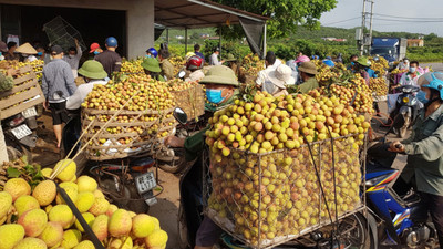 Bộ Công Thương chỉ đạo hỗ trợ lưu thông nông sản Bắc Giang