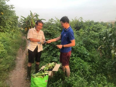 Thầy giáo bán vườn ngô góp tiền mua máy thở cho Bắc Giang