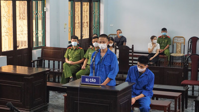 Hưng Yên: Lần đầu xét xử vụ án tàng trữ trái phép vảy tê tê Châu Phi