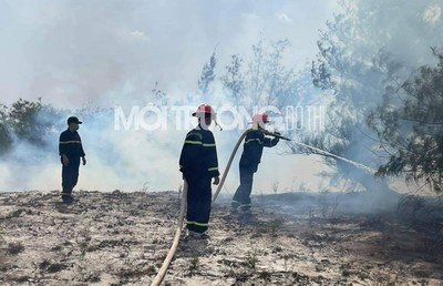 Quảng Bình: Cháy rừng phòng hộ ven biển tại xã Ngư Thủy Bắc