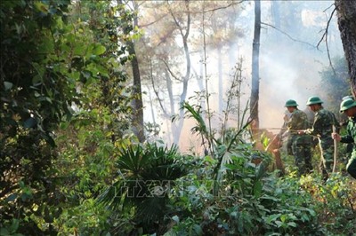 Trung Bộ: Tăng cường các biện pháp cấp bách phòng chống cháy rừng