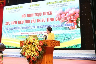 VinMart hỗ trợ thu mua 2.000 tấn vải thiều cho nông dân Bắc Giang