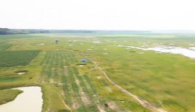 Dầu Tiếng - Tây Ninh: Kỳ vọng cây gáo vàng ứng phó biến đổi khí hậu