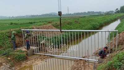 Tân Yên: Lắp đặt 10 rào chắn rác thải trên các tuyến kênh