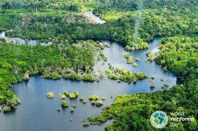 Rừng nhiệt đới cần được bảo vệ - Ngay bây giờ và mãi mãi