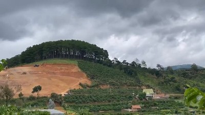 Lâm Đồng: Xử lý nghiêm vụ san gạt trái phép đất nông nghiệp