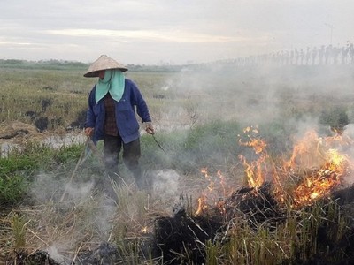 Hà Nội: Xử lý nghiêm hành vi đốt chất thải gây ô nhiễm môi trường