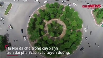 5 năm trồng 1 triệu cây xanh, phố phường Thủ đô xanh mướt