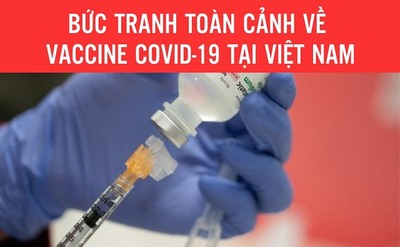 Bức tranh toàn cảnh về vaccine COVID-19 tại Việt Nam