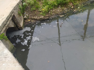 Hải Phòng: Nguồn nước sông Rế ô nhiễm nghiêm trọng