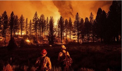 Thời tiết bất lợi thổi bùng hàng chục đám cháy rừng ở Mỹ
