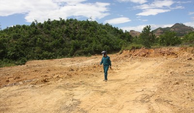 Đà Nẵng: Ngang nhiên mang máy đào đi ăn trộm đất đồi