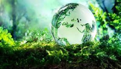 Công bố Quốc tế về lĩnh vực môi trường số 22