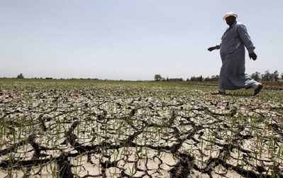 Ai Cập ngày càng khô hạn, nguồn cung nước chỉ đáp ứng nửa nhu cầu