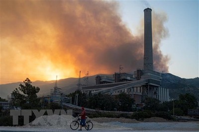 Thổ Nhĩ Kỳ sơ tán ở nhà máy nhiệt điện tại Milas do cháy rừng