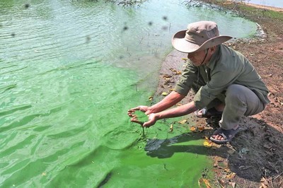 Gia Lai:Khắc phục ô nhiễm môi trường lưu vực sông-nhiệm vụ cấp thiết