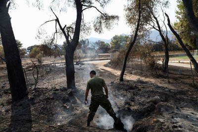 Cháy rừng lan rộng ở Hy Lạp thiêu rụi khoảng 650.000 ha