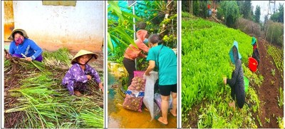 Từ tỉnh biên giới, 113 tấn nông sản “cập bến” Sài Gòn - Bình Dương