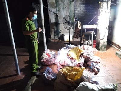 Bắc Giang: Xử lý đối tượng mua bán thịt lợn nhiễm tả lợn Châu Phi