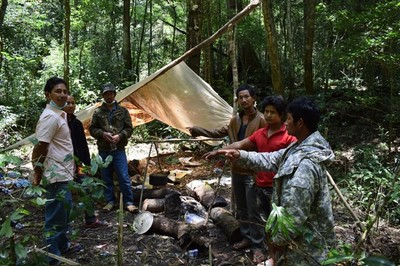 Lâm Đồng: Khởi tố 14 bị can liên quan vụ phá rừng dổi tự nhiên